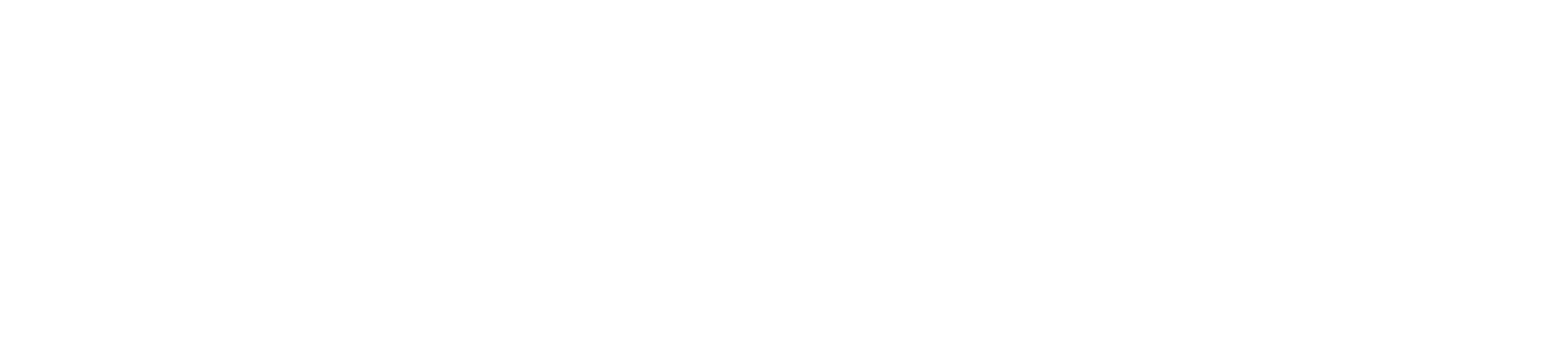 Zetes Border Control